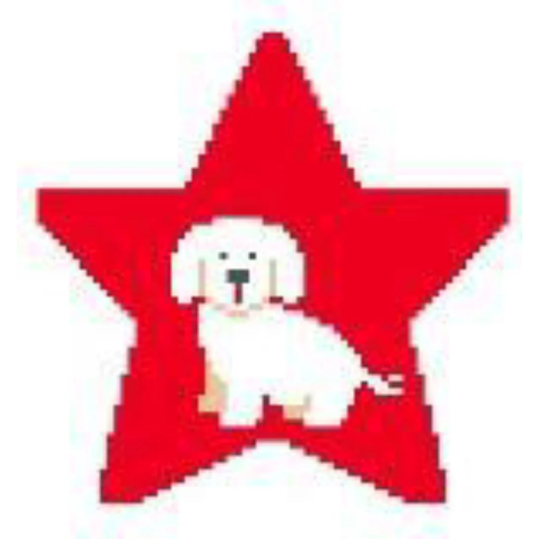 Bichon Frise Star Canvas