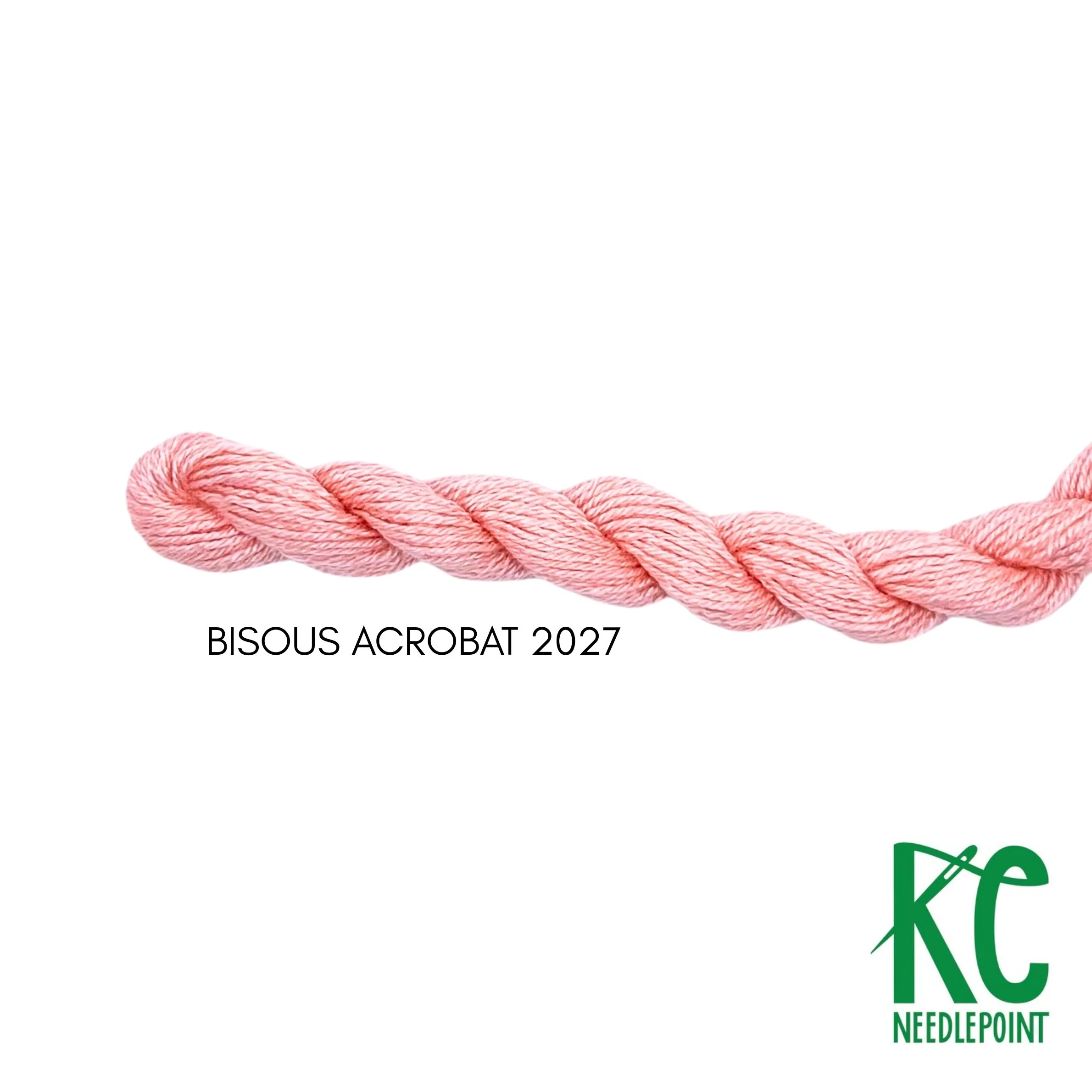 Bisous Skein 2027 Acrobat