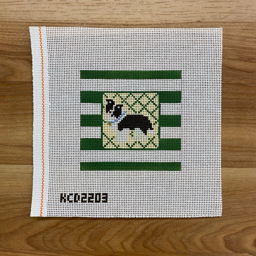 Border Collie Striped Square