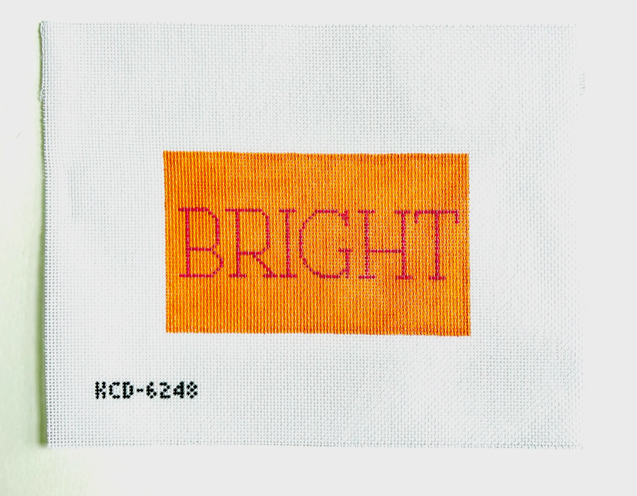 Bright Eyeglass Case Insert