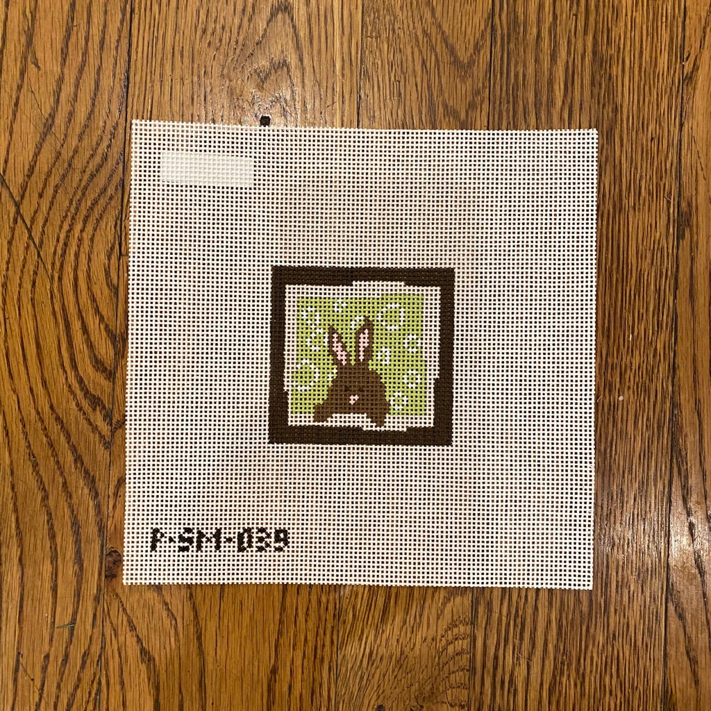 Bunny Green Circles Background Canvas