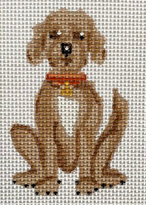 Cooper the Doodle Canvas