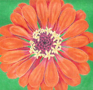Dark Orange Zinnia on Green Background Canvas