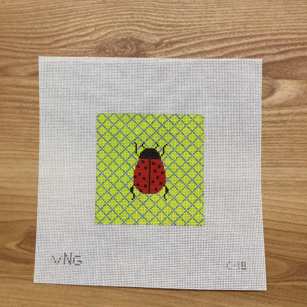 Ladybug Coaster Canvas