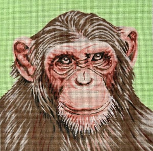Monkey Canvas