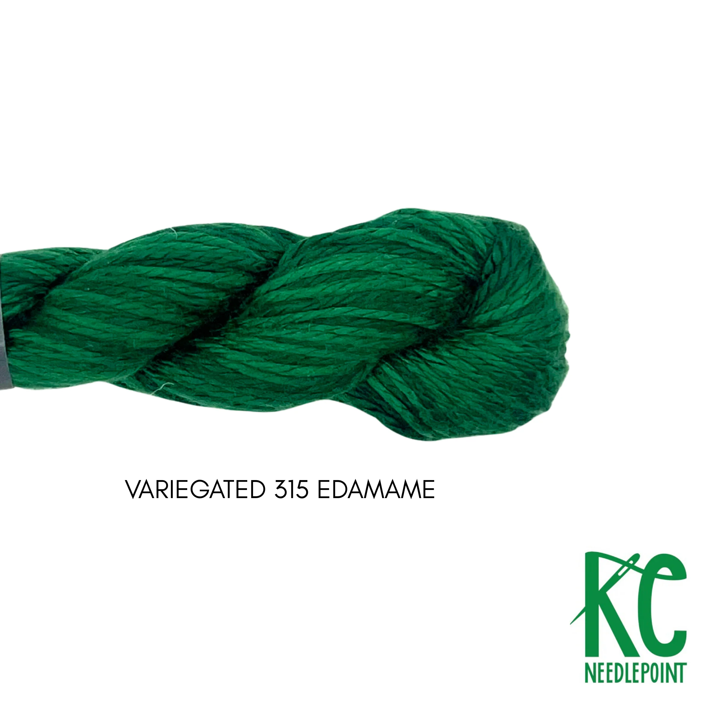 Pepper Pot Silk Variegated Skein 315 Edamame