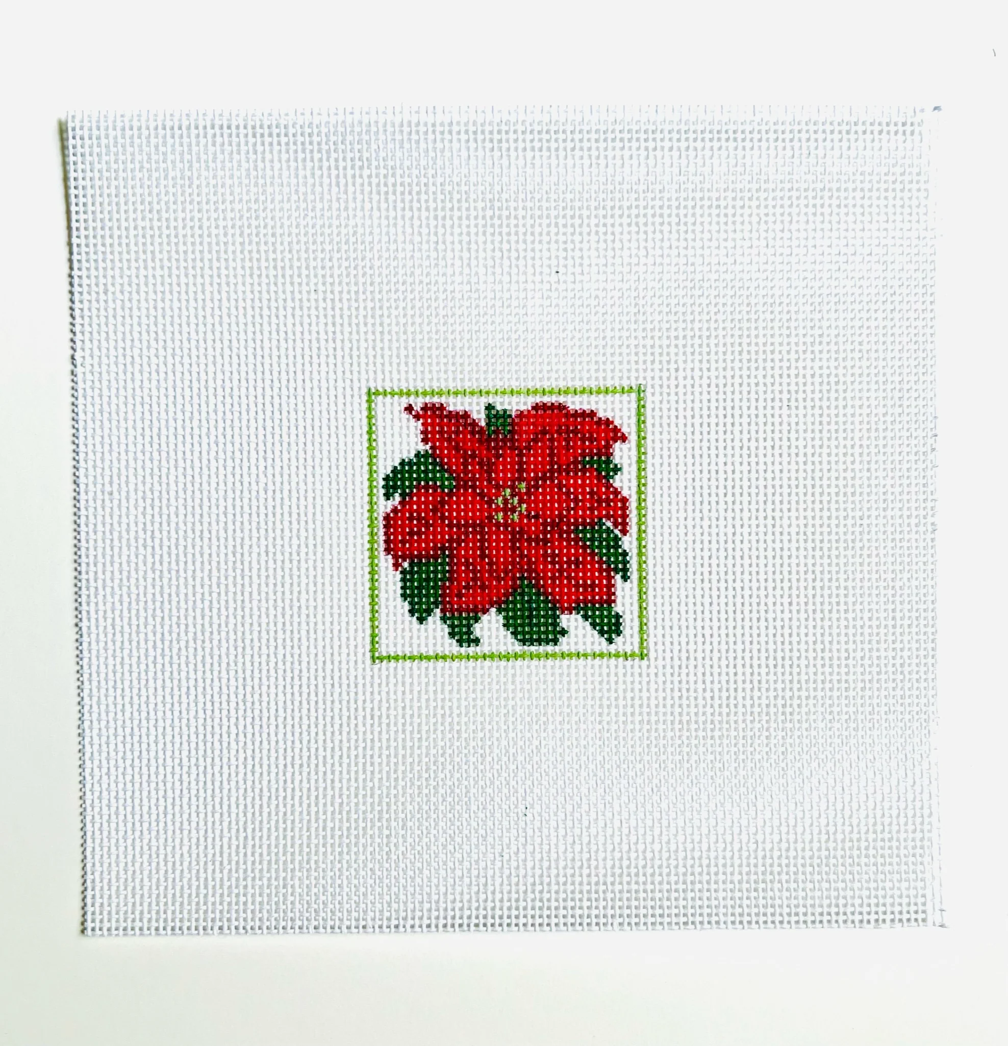 Poinsettia Square