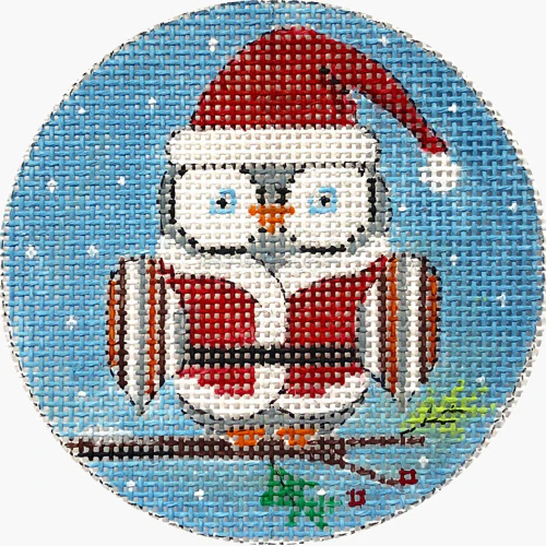 Santa Owl Canvas