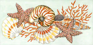 Shellacious Canvas