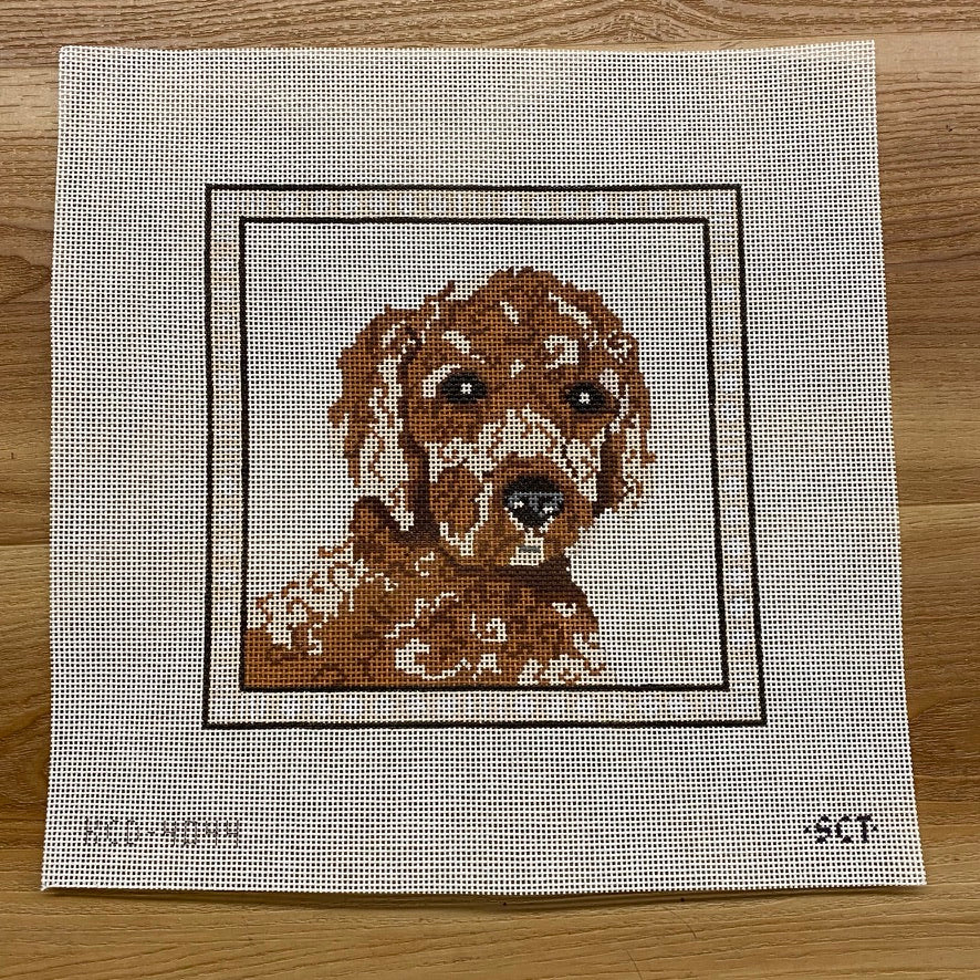 Sir Doodle