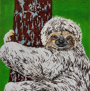 Sloth Canvas
